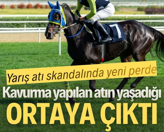 Yarış atı skandalında yeni perde: Kavurma yapılan atın yaşadığı ortaya çıktı
