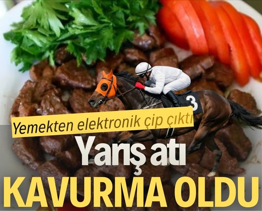 Yemekten elektronik çip çıktı: Yarış atı kavurma oldu