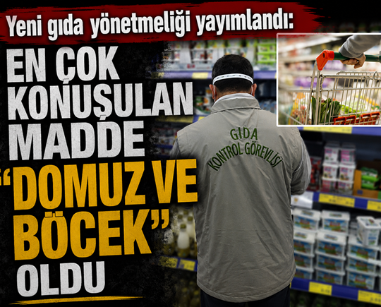 Yeni gıda yönetmeliği yayımlandı: En çok konuşulan madde “domuz ve böcek” oldu