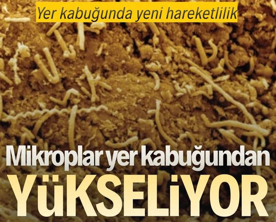 Yer kabuğunda yeni hareketlilik: Mikroplar yer kabuğundan yükseliyor