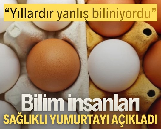 “Yıllardır yanlış biliniyordu” Bilim insanları sağlıklı yumurtayı açıkladı