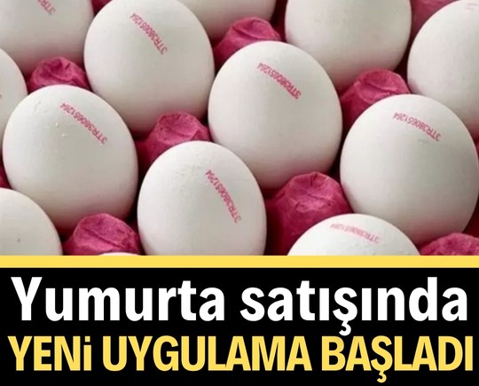 Yumurta satışında dönüm noktası! Yeni uygulama başladı