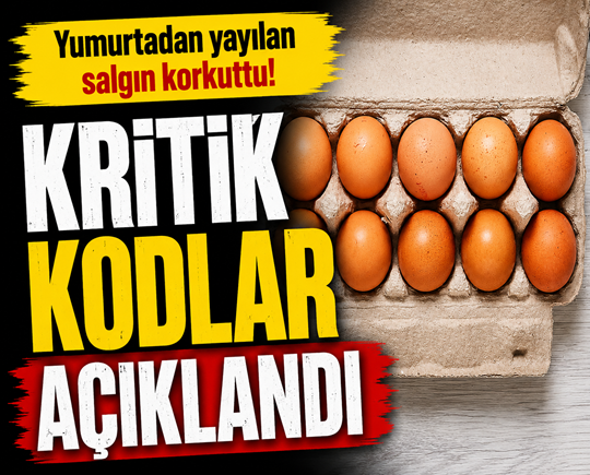 Yumurtadan yayılan salgın korkuttu! Kritik kodlar açıklandı