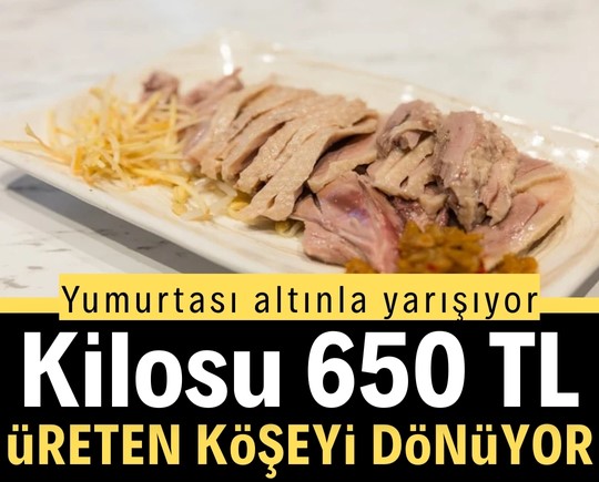 Yumurtası altınla yarışıyor: Kilosu 650 TL, üreten köşeyi dönüyor
